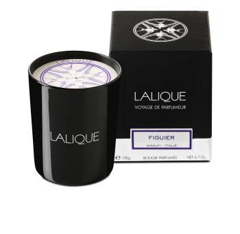 Figuier, amalfi - italie, bougie parfumée en 190 g - Lalique